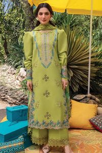 SS-116 Rang Rasiya Embroidery 3PC Dhanak Suit