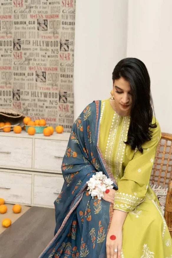 SS-100 Urge Heavy Embroidery 3PC Dhanak Suit